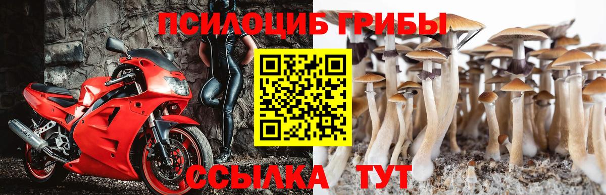 Галлюциногенные грибы Cubensis  Вход с VPN  Узловая  Псилоцибиновые грибы мицелий 
